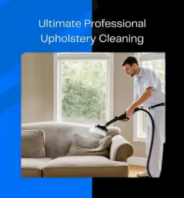 Professional Upholstery Cleaning
